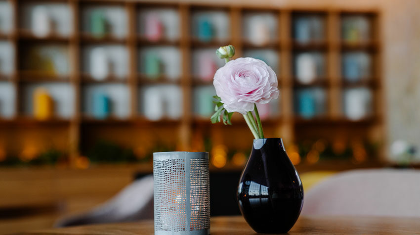 Eine wahre Augenweide: Blumen machen alles schöner. © Max Framke