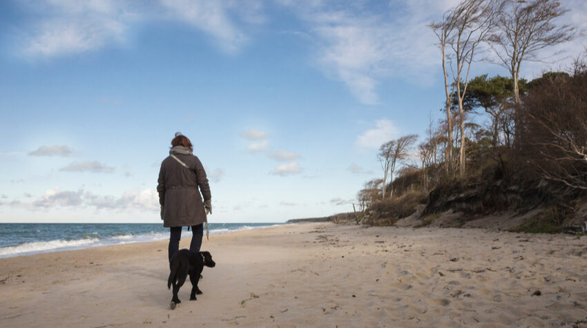 Ostseeurlaub mit Hund: Auch am Strand hört ihr vielleicht den einen oder anderen Schnack auf Platt. © Shutterstock, MRo