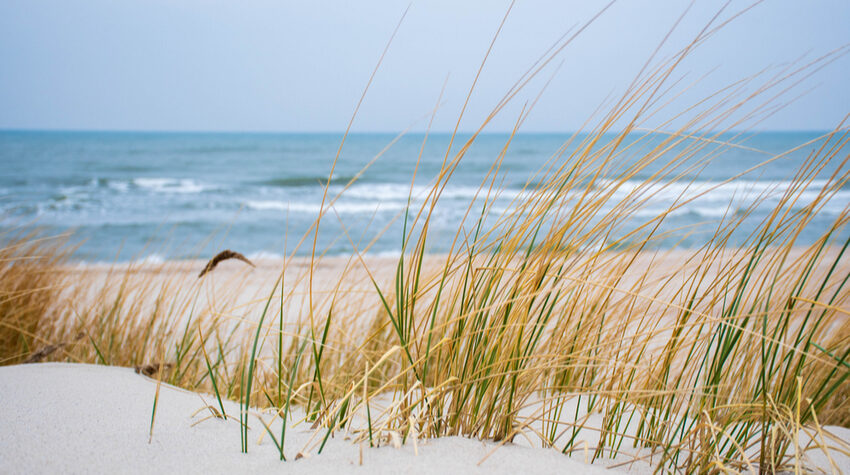 Die Herbst- und Wintermonate eignen sich perfekt für einen Ostseeurlaub. © Shutterstock, Michele Ursi