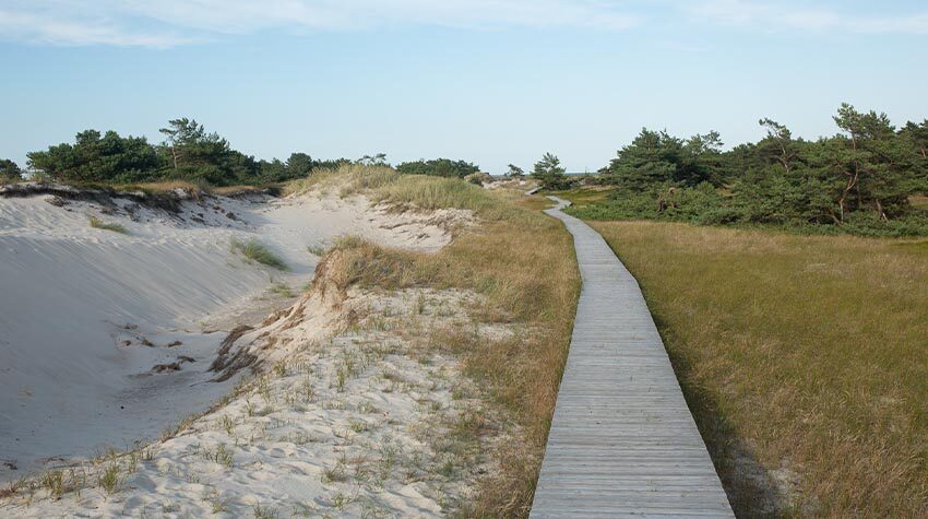 Strand und Nationalpark Vorpommersche Boddenlandschaft: Kein Wunder, dass man hier den ganzen Tag spazieren gehen möchte.