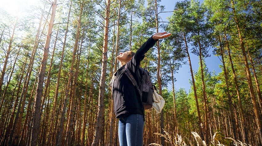 Der Wald liefert nicht nur Rohstoffe, er hat auch Auswirkungen auf das Klima und die Gesundheit der Menschen. © Shutterstock, kryzhov