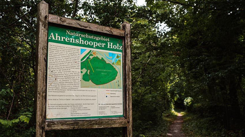 Bereits seit 1958 steht das Ahrenshooper Holz unter Naturschutz.
