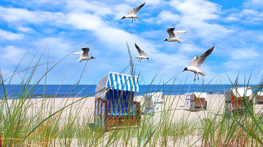 Die Strandkörbe sind absolut wetterfest. © Shutterstock. Jenny Sturm