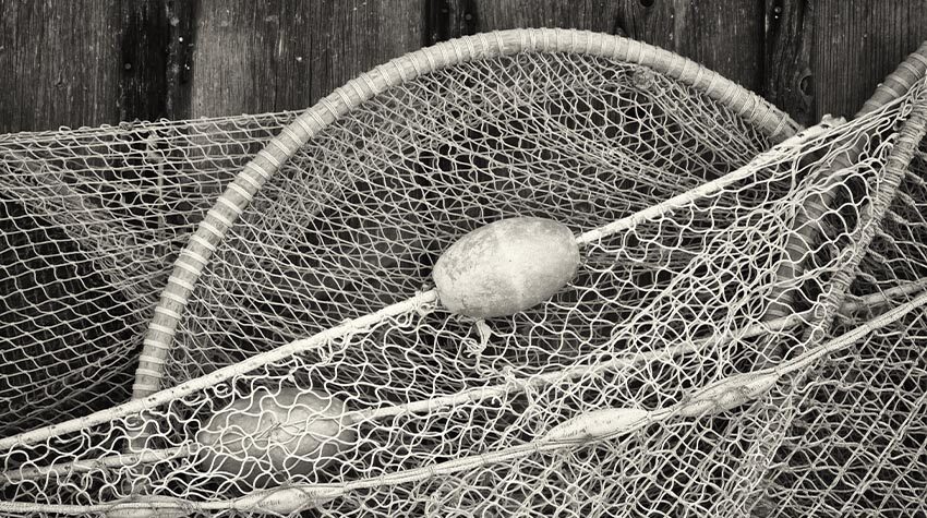 Die Fischernetze wurden hinter dem Zeesboot hergeschleppt. © Shutterstock, FooTToo