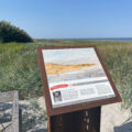Direkt beim Strandaufgang erlebt ihr einen wunderschönen Blick auf die Ostsee.