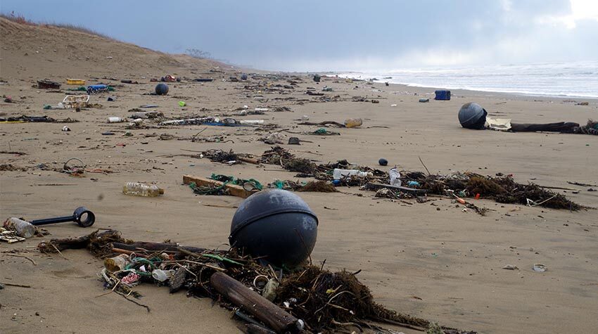 Die Verschmutzung unserer Meere ist ein riesiges Problem. Besser: Müller vermeiden, recyclen oder Upcycling betreiben. © Shutterstock, russting