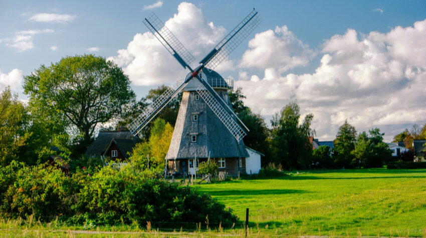 Die Mühle in Ahrenshoop strahlt wunderschön zwischen den Feldern hervor. © Shutterstock, bluecrayola