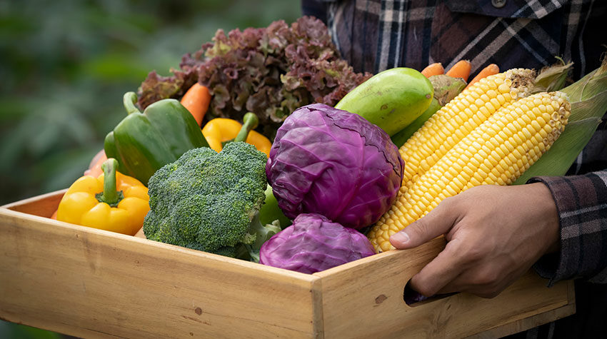 Frisches Gemüse bildet den Hauptbestandteil der ayurvedischen Ernährung. © Shutterstock, Sakura Image Inc