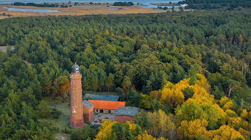 Leuchtturm Darßer Ort umgeben von herbstlich gefärbtem Wald im Nationalpark Vorpommersche Boddenlandschaft.