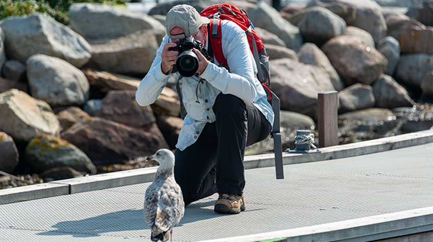 Spaziergänger mit Fernglas beobachten Vögel in einer weiten Seen- und Wiesenlandschaft.
