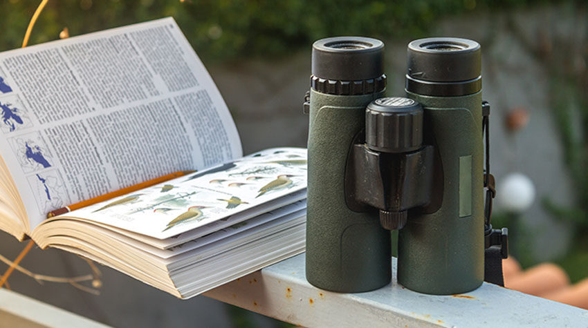 Fernglas und Vogelbestimmungsbuch für die Vogelbeobachtung in Zingst.