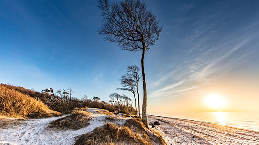 Wintersonne über Dünen an der Ostsee bei klarem Himmel.