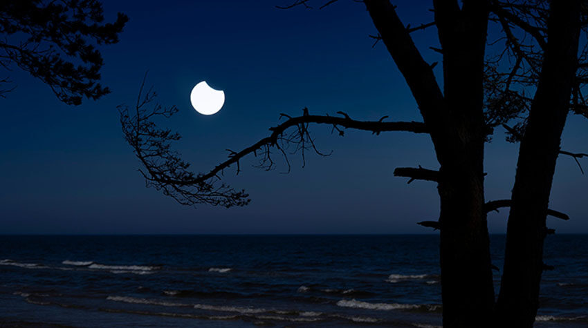 Mond über der Ostsee bei Nacht, eingerahmt von dunklen Baumästen am Strand.