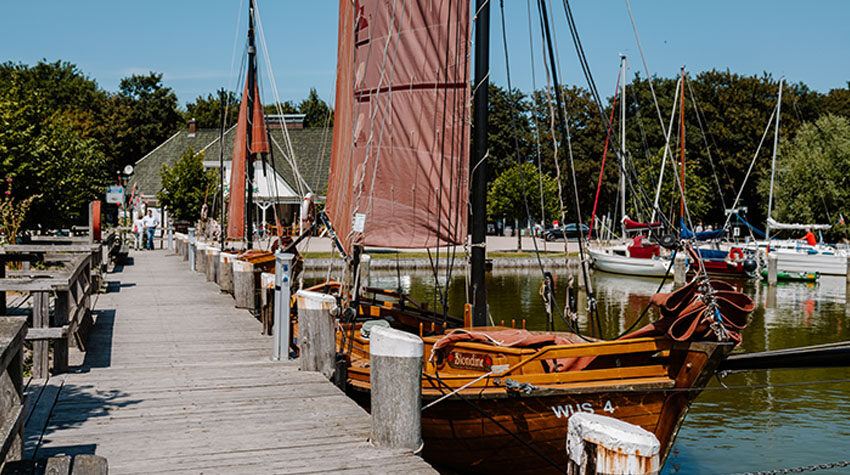 Althagener Hafen in Ahrenshoop mit Booten, Stegen und bunten Boddenhäusern am ruhigen Wasser.